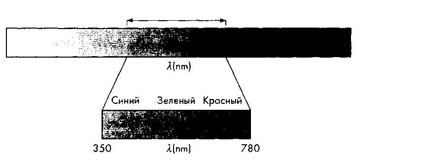 Спектр электромагнитных волн