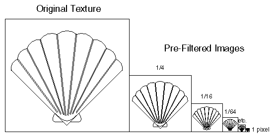 scallop.gif