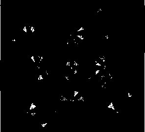 Форма, созданная с помощью правил геометрической подстановки (изменения треугольных форм) (перепечатано с разрешения Эндрю Гласснера, Хегох РАЯС. © 1992)