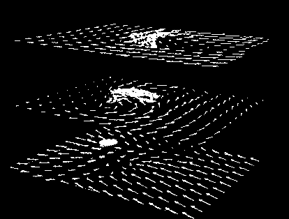 Представление стрелочками векторного поля с изображенными поперечными сечениями (перепечатано с разрешения Национального центра супер-компъютерных приложений, Иллинойский университет в Урбана-Шампейн)