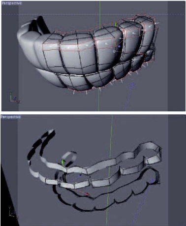 Отделены поверхности вдоль края верхнего и нижнего ряда зубов