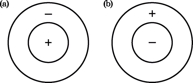 Типичные антагонистичные рецептивные поля «центр - окружение»: (а) - центральное; (b) периферийное.
