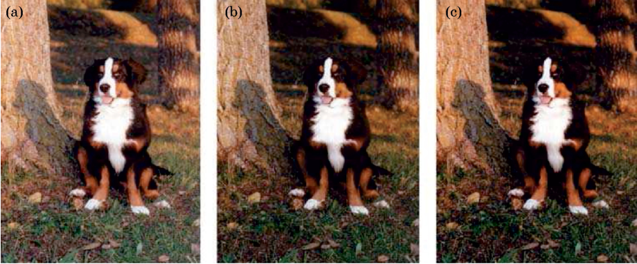 Изображения, иллюстрирующие усиление контраста, необходимое для учета изменений в восприятии при переходе от среднего окружения к темному: (а) - оригинальный отпечаток; (b) - изображение с усиленным светлотным контрастом, предназначенное для рассматривания в темном окружении; (c) - изображение, с усиленными светлотным и хроматическим контрастами, предназначенное для рассматривания в темном окружении.