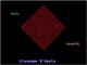 ���� 17. OpenGL