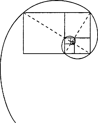 Спираль и золотой прямоугольник