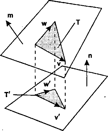 Влияние ортогональной проекции на площадь