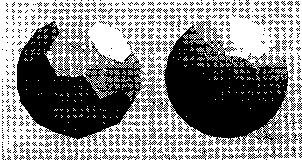 Две сетки, визуализированные с использованием плоского закрашивания