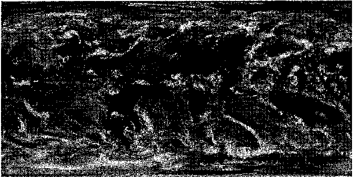 Текстурная карта с изображением облачного покрытия (мраморно-голубое изображение от Рето Стекли)