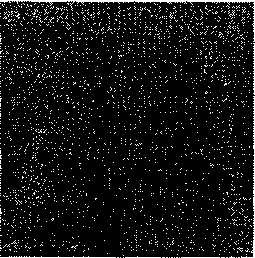 Выделение края с помощью лапласовского ядра свертки (изображение масштабировано)