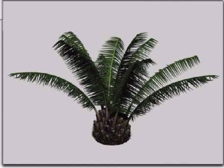 Визуализация пальмы