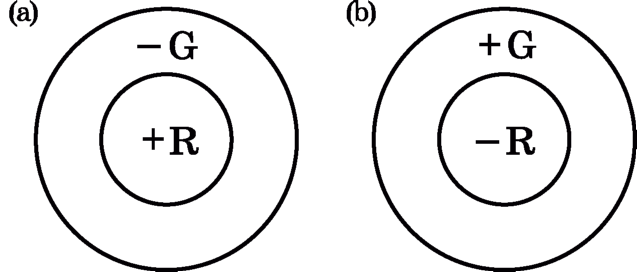 Примеры красно-зеленых (а) и зелено-красных (b) спектрально и пространственно антагонистичных рецептивных полей.