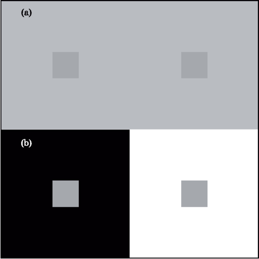 Пример симультанного контраста: серые патчи на сером фоне (а) физически идентичны таковым на белом и черном фонах (b).