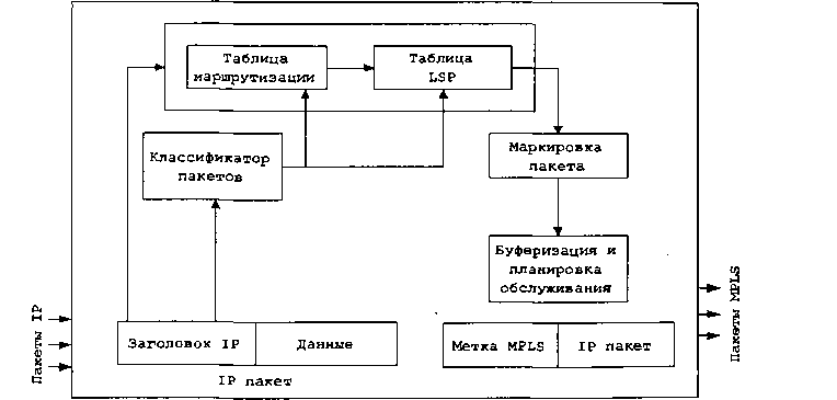 Упрощенная структура пограничного входящего маршрутизатора LSR
